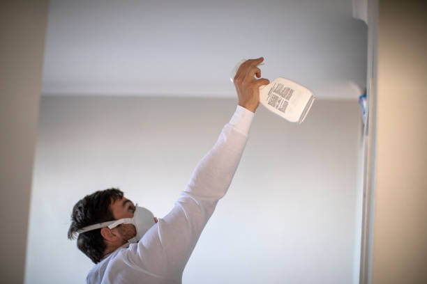 Best Mold Testing and Inspection Services in Rouses Point, NY